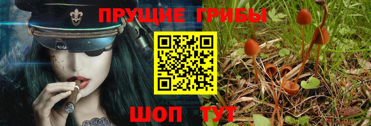 Галлюциногенные грибы ЛСД  Вход с VPN  Краснокаменск 